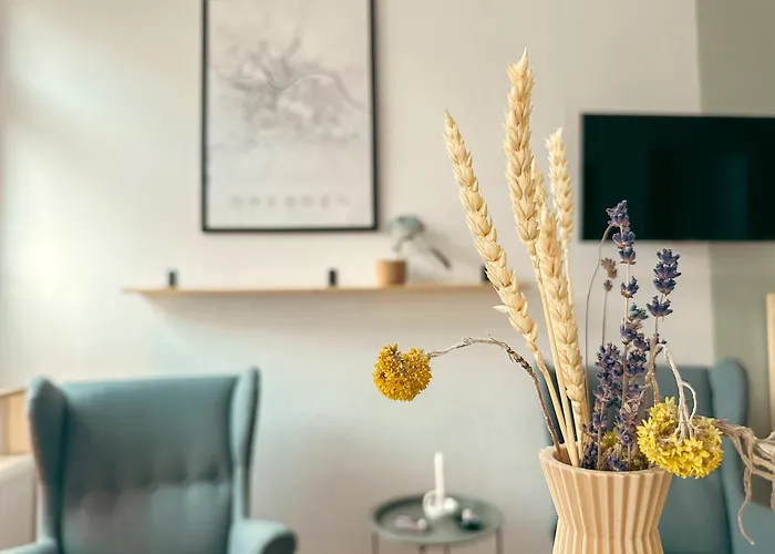 Zentrale, Gemuetliche Wohnung In Dresden