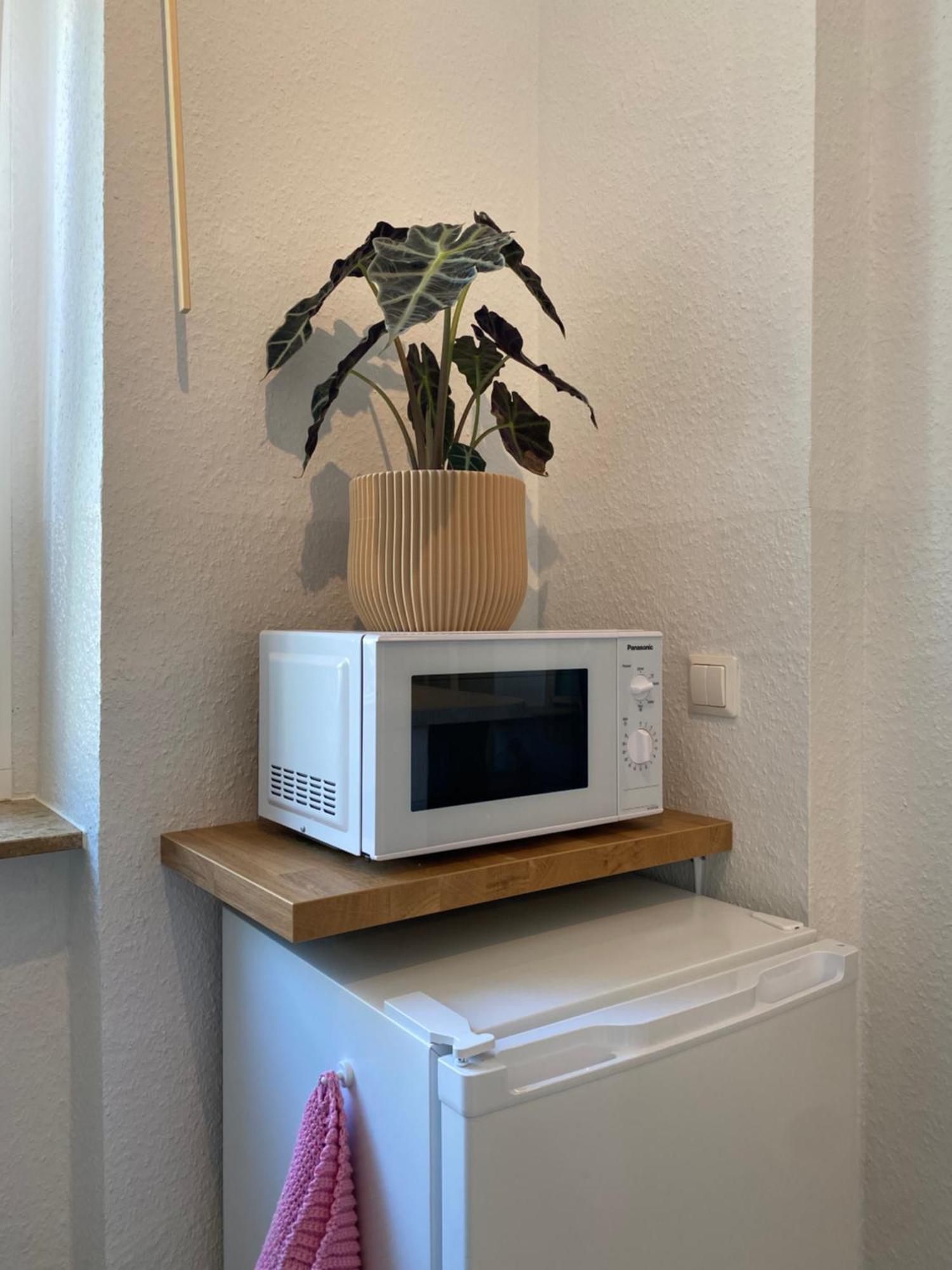 Zentrale, Gemuetliche In Dresden